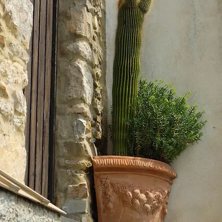 Da Ciletta * San Bartolomeo Al Mare