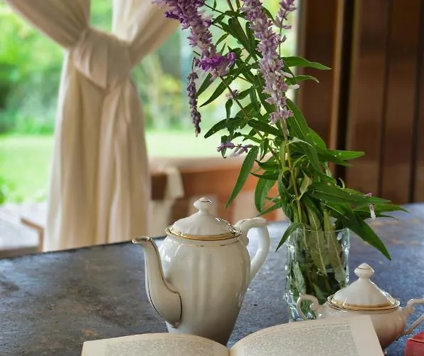 Da Ciletta Сasa de vacaciones San Bartolomeo Al Mare